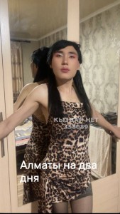 Транс Шымкента Транс№358089 Карла Алиева нажми тут Фотография №3708942