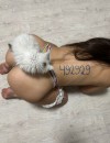 Фотография №3722228